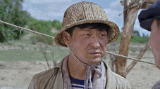 Épisode 11