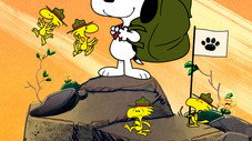 Following in the Pawprints / Roughing It