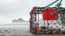 Case Seven: Catch of the Day