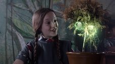 A árvore genealógica da Mildred