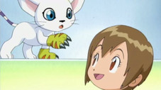 Gatomon en renfort