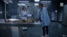 Épisode 5