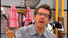 Ah, les vaches !
