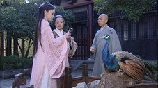 Épisode 11