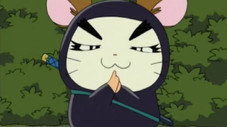 Ninjaro le Ninj'Ham