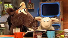Épisode 7