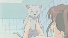 Épisode 16