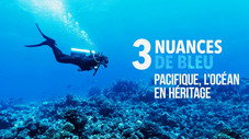 Pacifique, l'océan en héritage