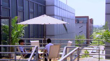 Épisode 31