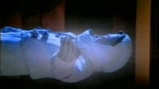 Les Ailes de minuit