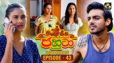 Épisode 43