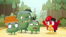 Splinter-Camp Games