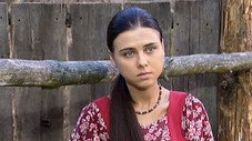 Épisode 11