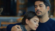 Épisode 14