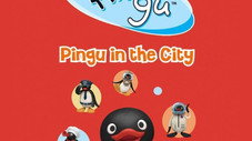 Pingu & The Egg