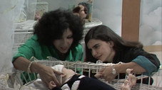 Épisode 144
