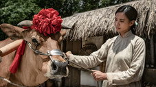 Épisode 8