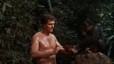 Algie B. comme brave