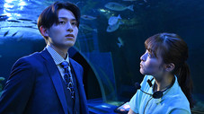 Épisode 14