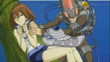 Singe Duel, Singe Duel