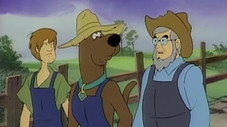 Épisode 24