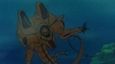 Les Habitants de la mer