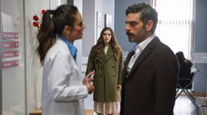 Épisode 8