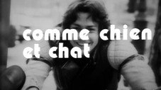 Comme chien et chat