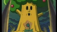 Complot de fleur