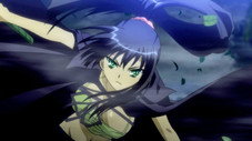 Non, je suis une ninja-vampire
