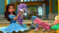 Three Jaquins and a Princess
