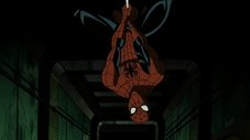 E Surgiu uma Aranha