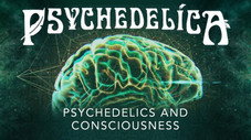 Les psychédéliques et la conscience