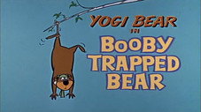 Booby Trapped Bear