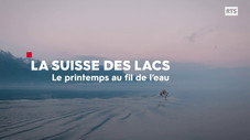 Histoires de printemps sur l'eau