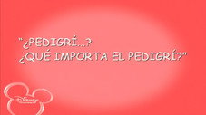 Épisode 26
