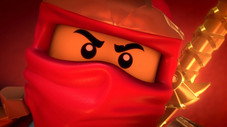 Le ninja vert