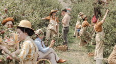 Épisode 5