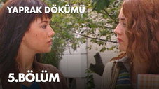 Épisode 5