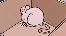 Des souris et des mômes