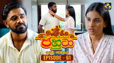 Épisode 61