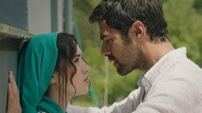 Épisode 113