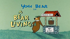 A Bear Living