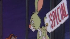 Lapin à vendre
