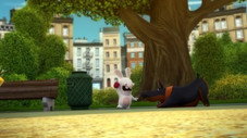 Toutou lapin