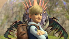Dragons Everywhere!