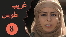 Épisode 8