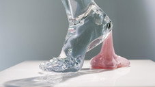 Leçon d'anatomie