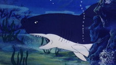 Requins à l'horizon