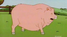Pigmalion